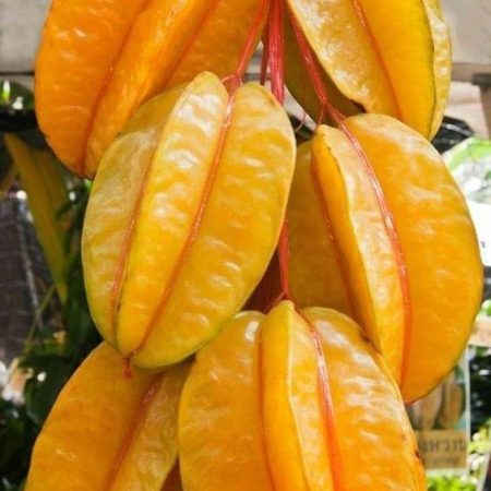 Star Fruit
