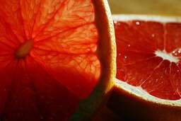Grapefruit
